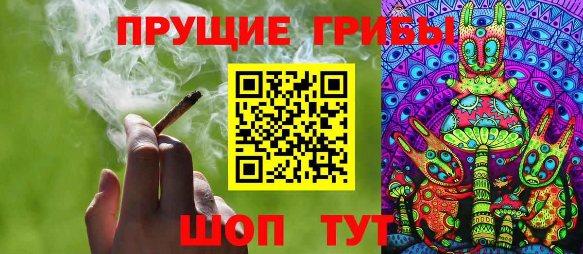 Псилоцибиновые грибы мицелий Камышлов
