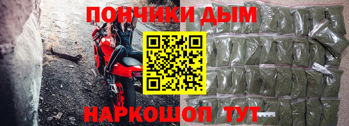 Бошки Шишки конопля Камышлов
